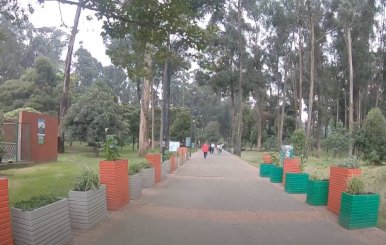Bosque San Carlos