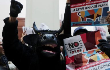Prohibición de la tauromaquia
