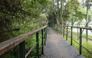 Humedal Córdoba