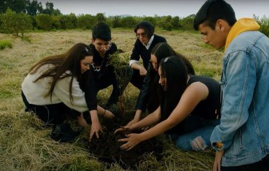 Juan David Cardona, líder ambiental, y su grupo juvenil en actividades de siembra.