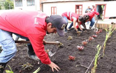 Personas cultivando la tierra