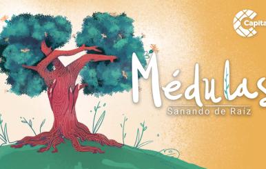 Portada Médulas, sanando de raíz