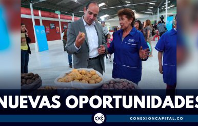 Nuevas-oportunidades