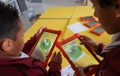 Proyecto_Innovadores_Digitales