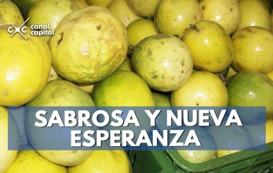 Sabrosa-y-nueva-esperanza-