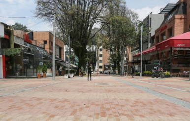 Vendedores informales de la Zona T