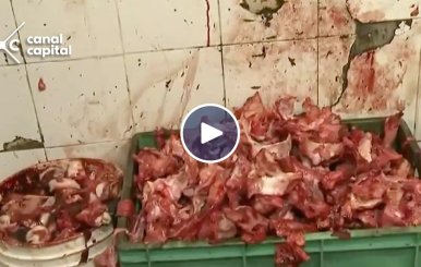 carne