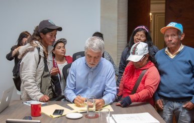 Propagación de palomas en Plaza de Bolívar puede generar problemas de salud