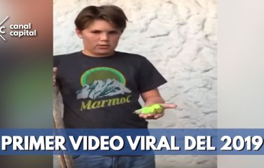 chimuelo