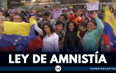 ley-amnistia