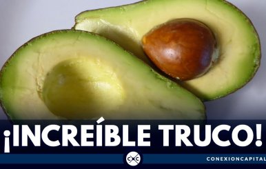 aguacate