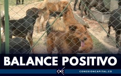 balance-positivo