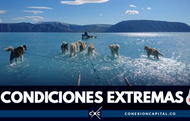 hielo-groenlandia