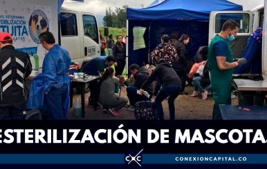 esterilizacionbogota2019julio