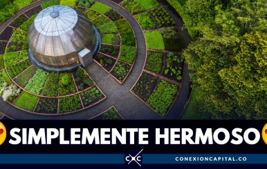 fotos-jardin-botanico