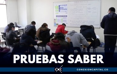 pruebas saber