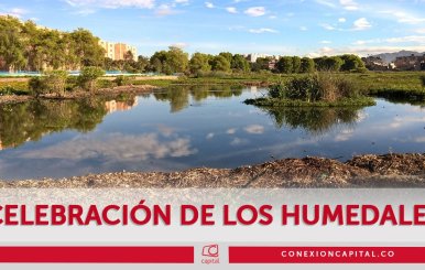 Exposición de humedales en el Jardín Botánico