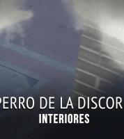 El perro de la discordia El perro de la discordia