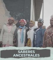 Tierra - Saberes Ancestrales | Historias Elementales